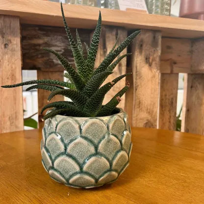 Artichoke Plant Pot