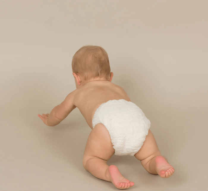 Bamboo Fitted Nappies