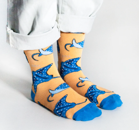 Rays Socks