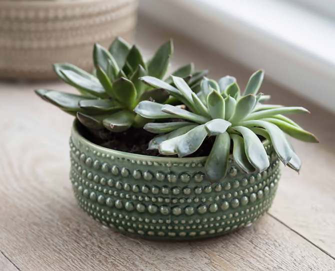 Castello Plant Pot