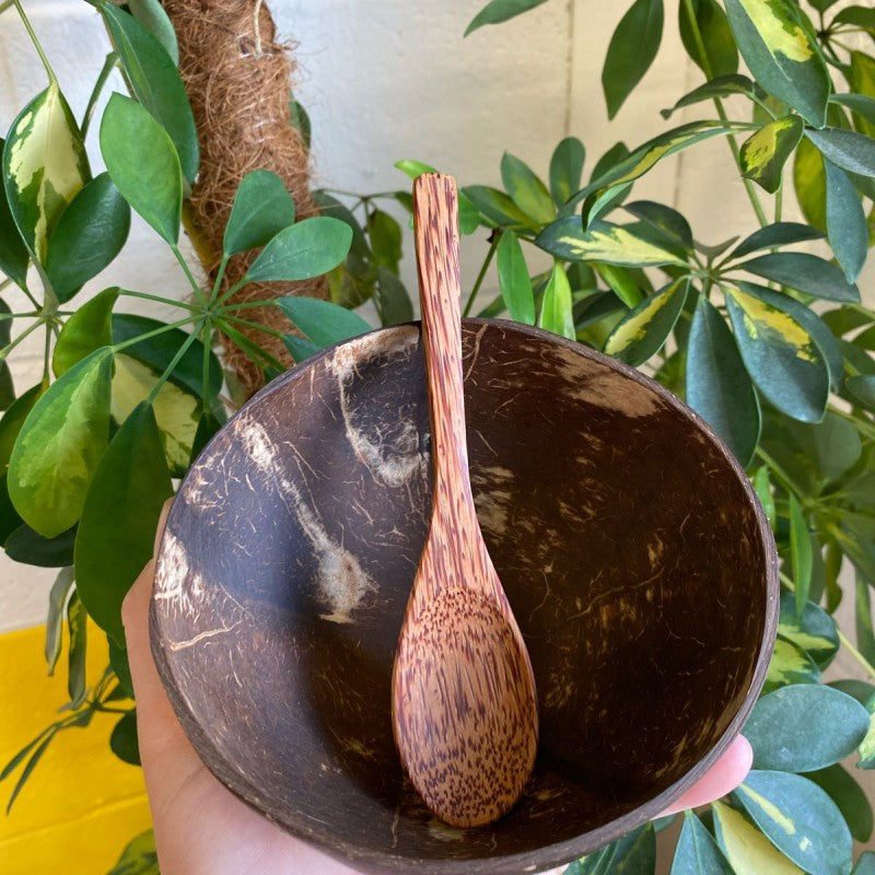 Coconut Spoon