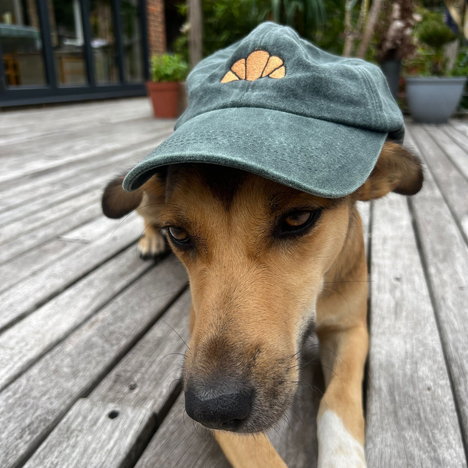 Croissant Vintage Style Cap