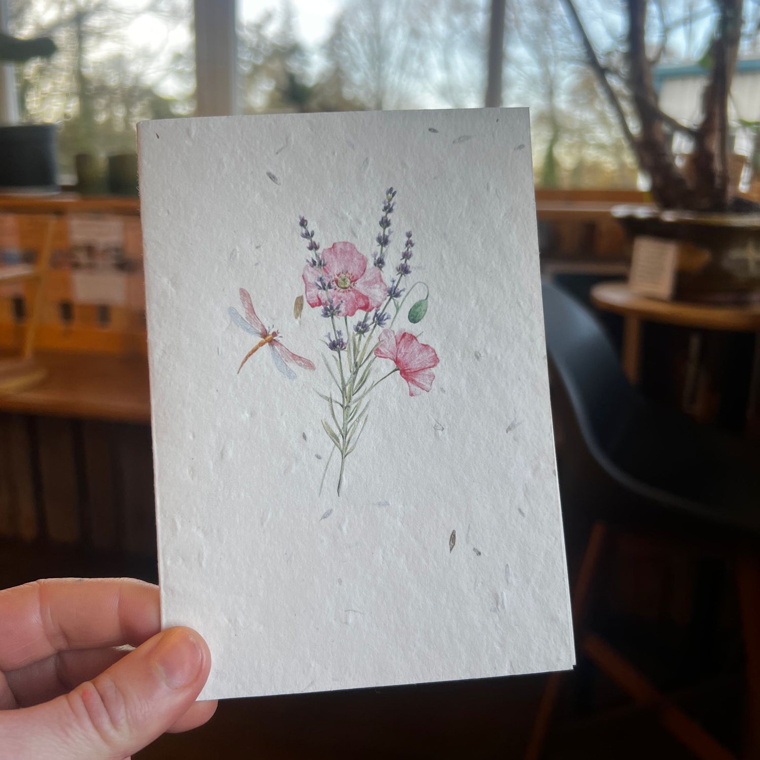 Dragonfly Seed Card