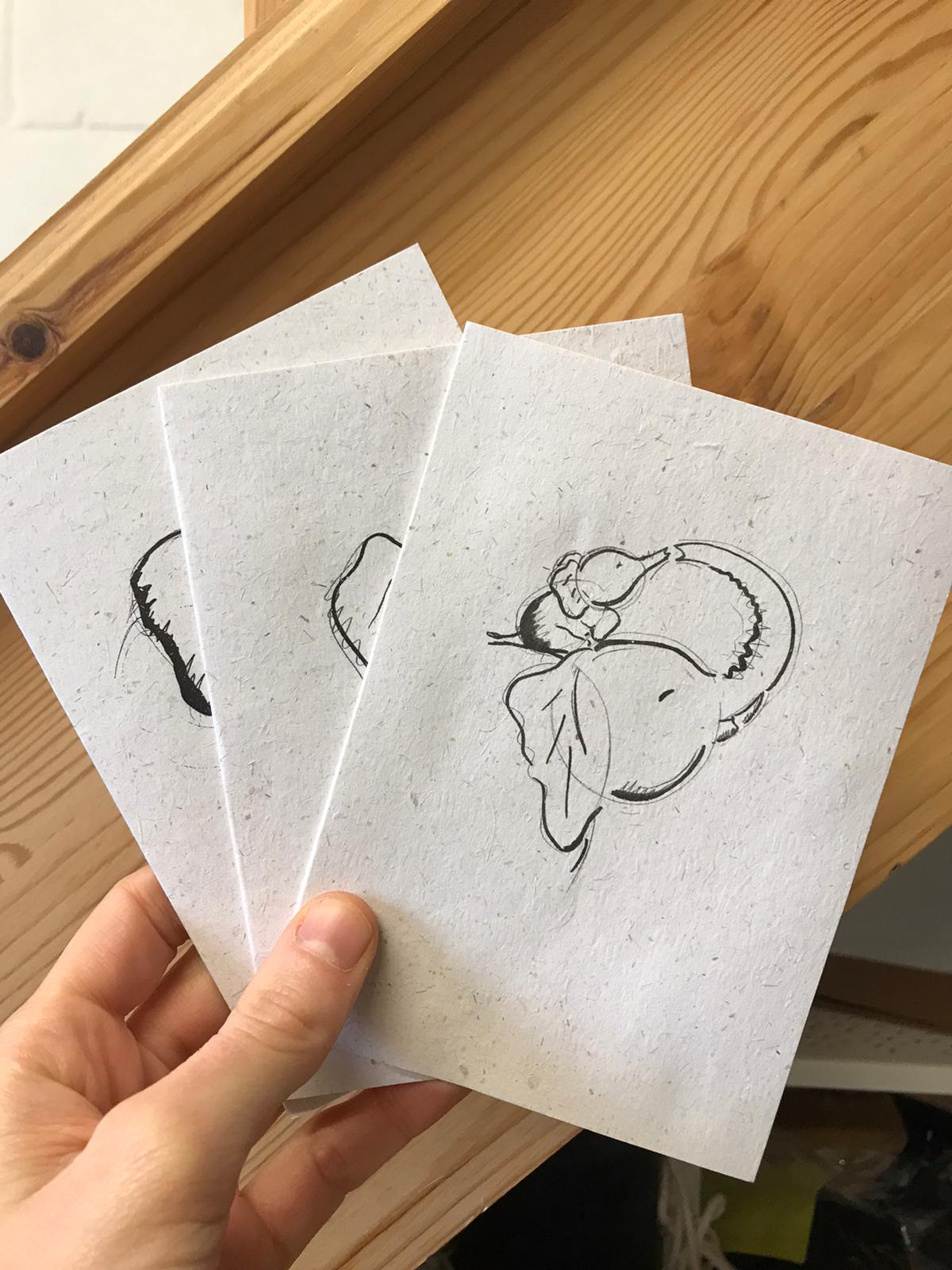 Elephant Dung Greetings Card
