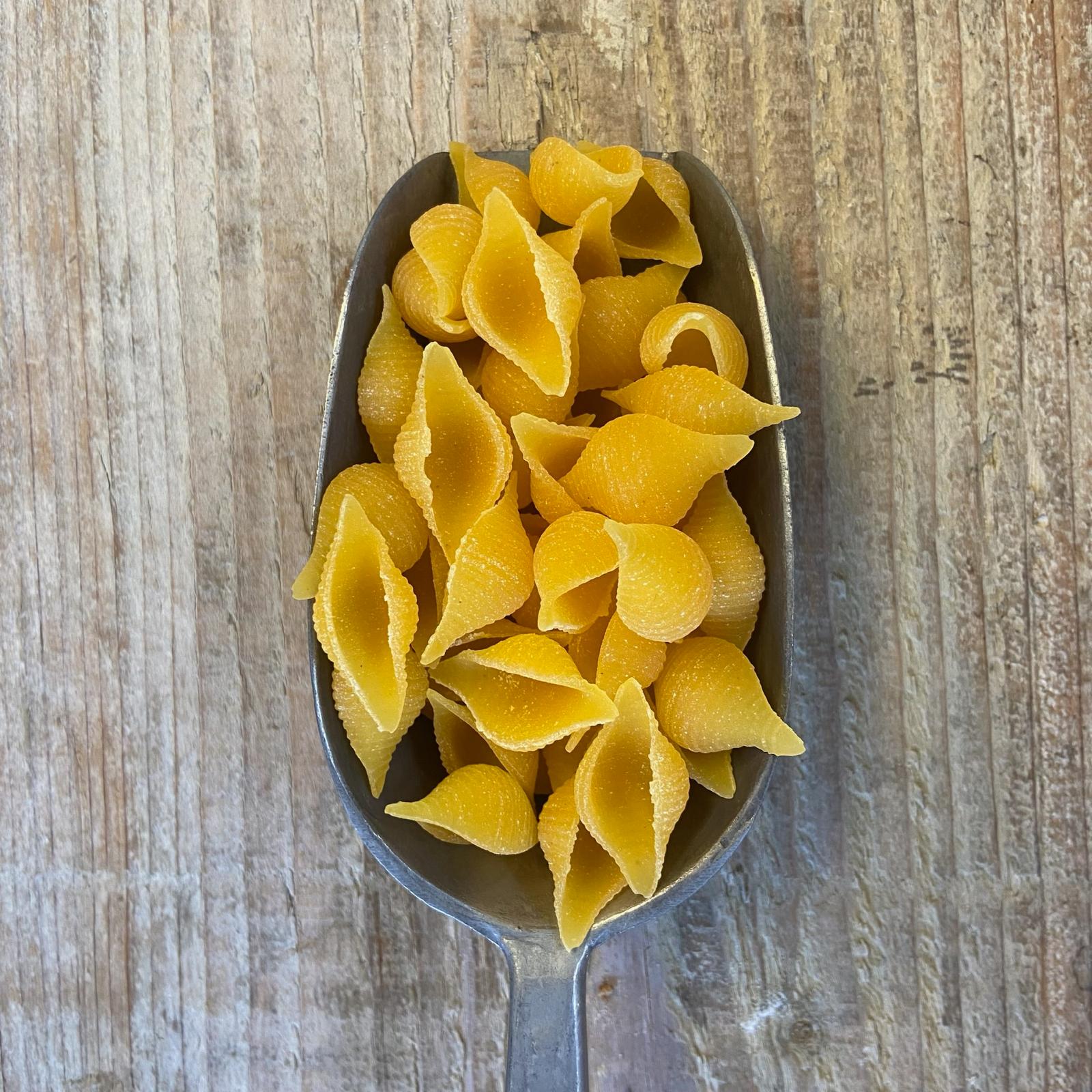 Gluten Free Shell Pasta – Lemon and Jinja
