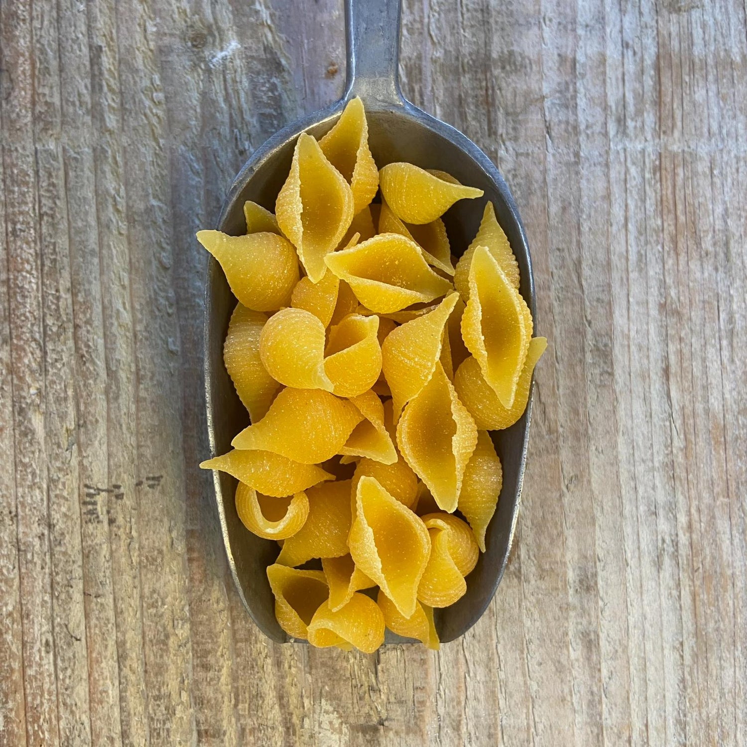 Gluten Free Shell Pasta