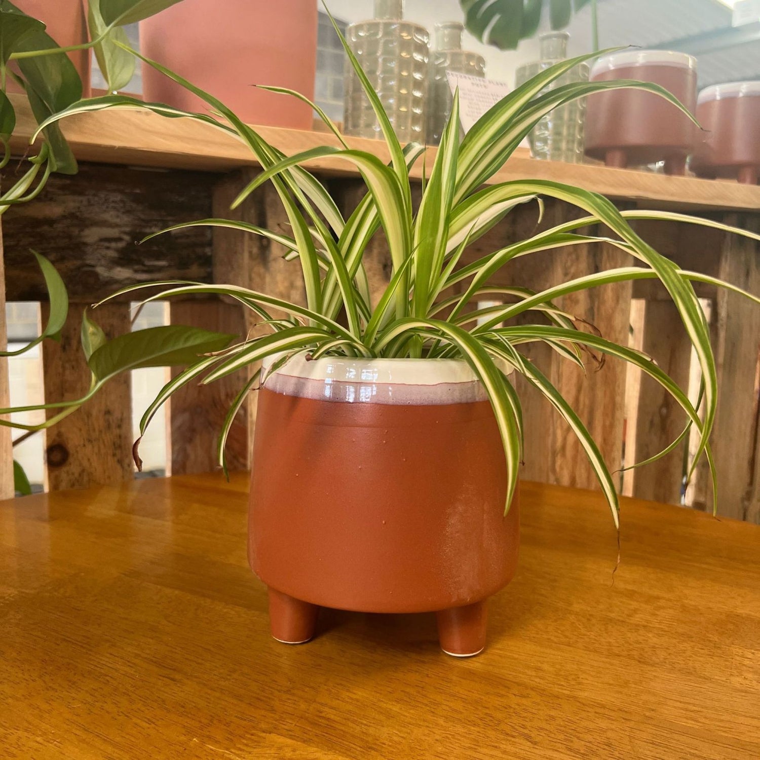 Halston Plant Pot