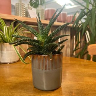 Hillesley Plant Pot