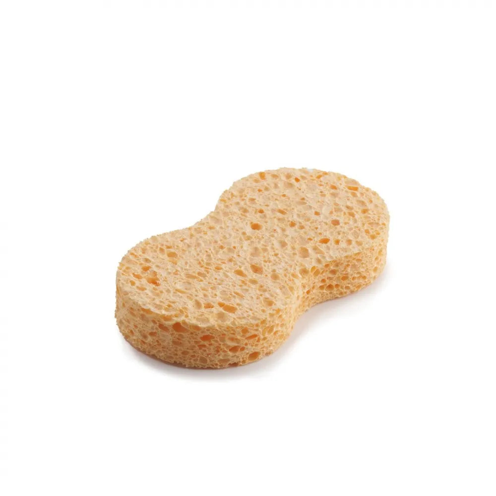 All Purpose Compostable Sponge