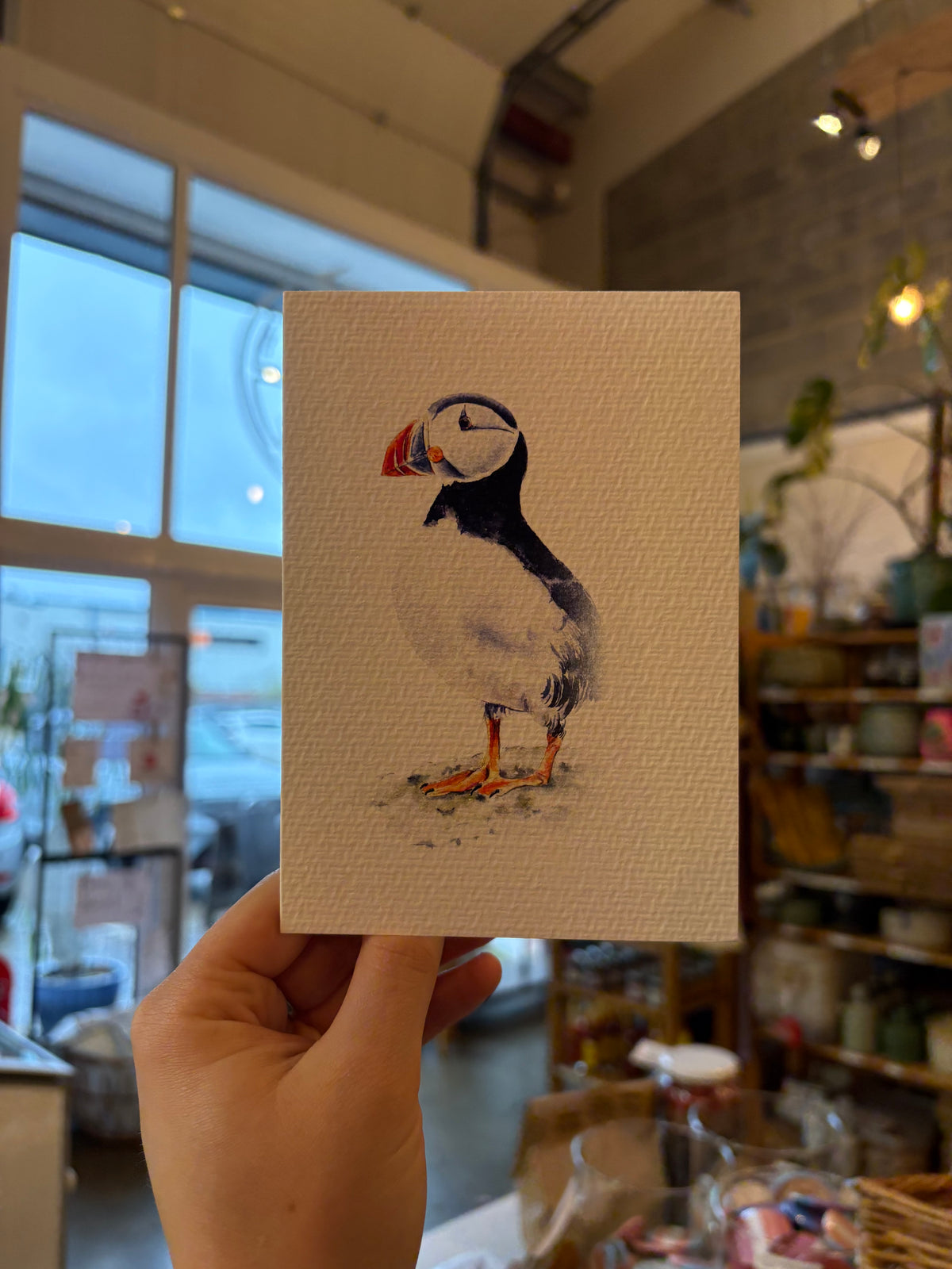 Puffins Watercolour Greetings Card
