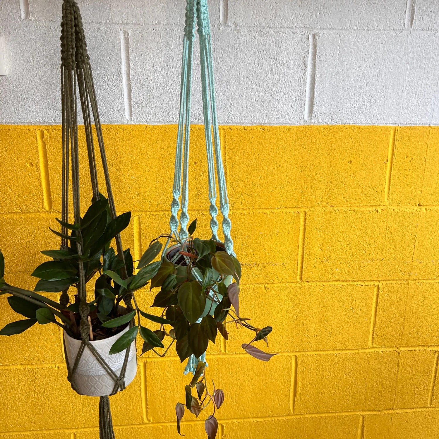 Macramé Plant Hanger