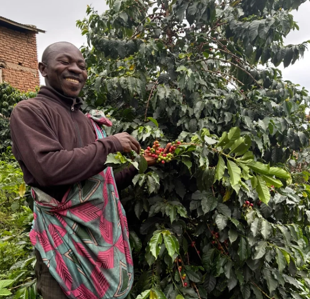 Maliba (Ugandan) Coffee by River Coffee Roasting