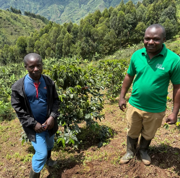 Maliba (Ugandan) Coffee by River Coffee Roasting