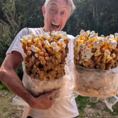 Behind the Brand with Myndful Mushrooms
