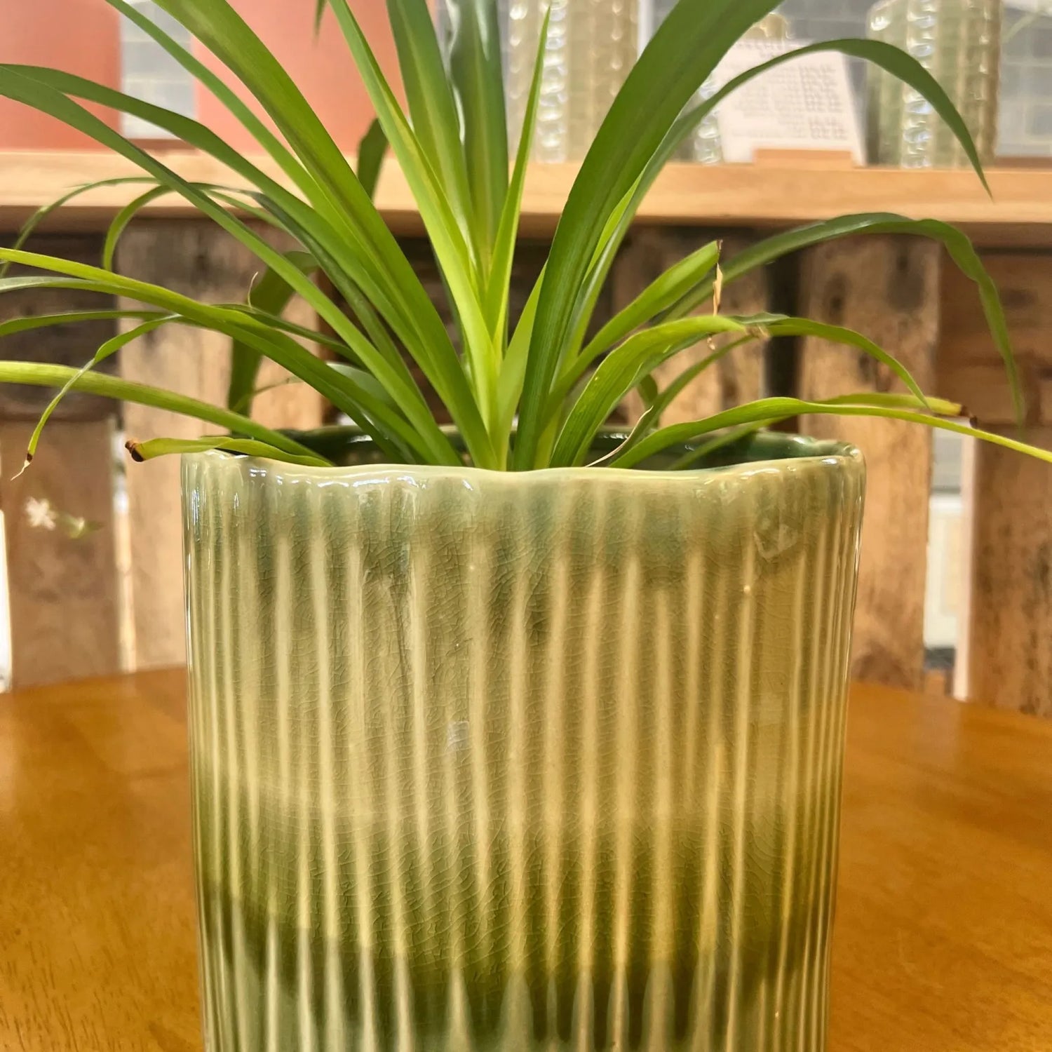 Nettleton Plant Pot