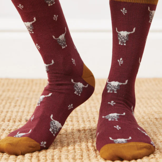 Nomads Organic Cotton Socks