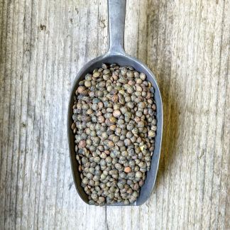 Puy Lentils