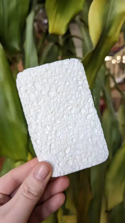 Natural Sponge With Loofah Scourer