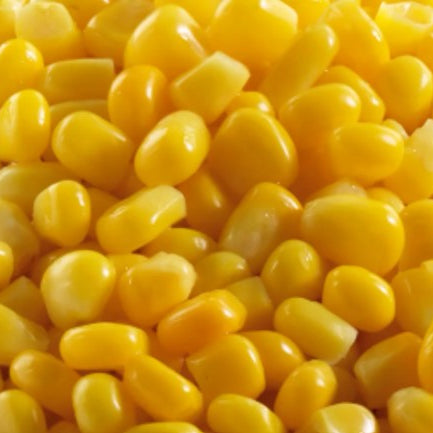 Frozen Sweetcorn