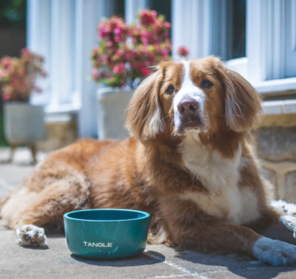 Recycled Fishing Net Dog Bowl