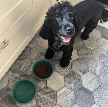 Recycled Fishing Net Dog Bowl