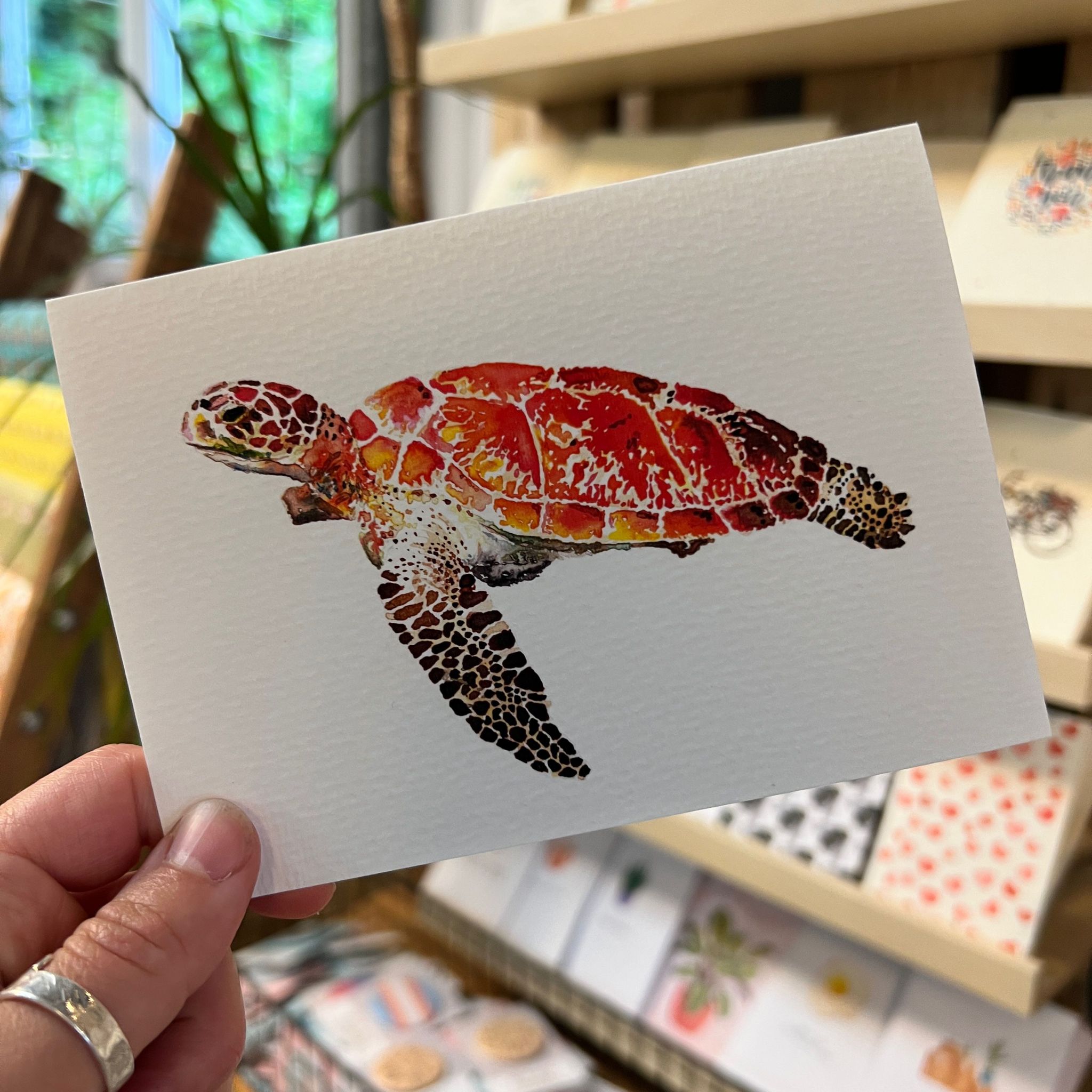 Turtle Watercolour Greetings Card – Lemon and Jinja