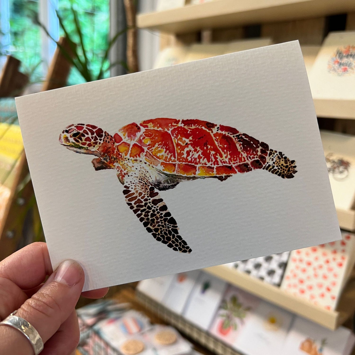 Turtle Watercolour Greetings Card