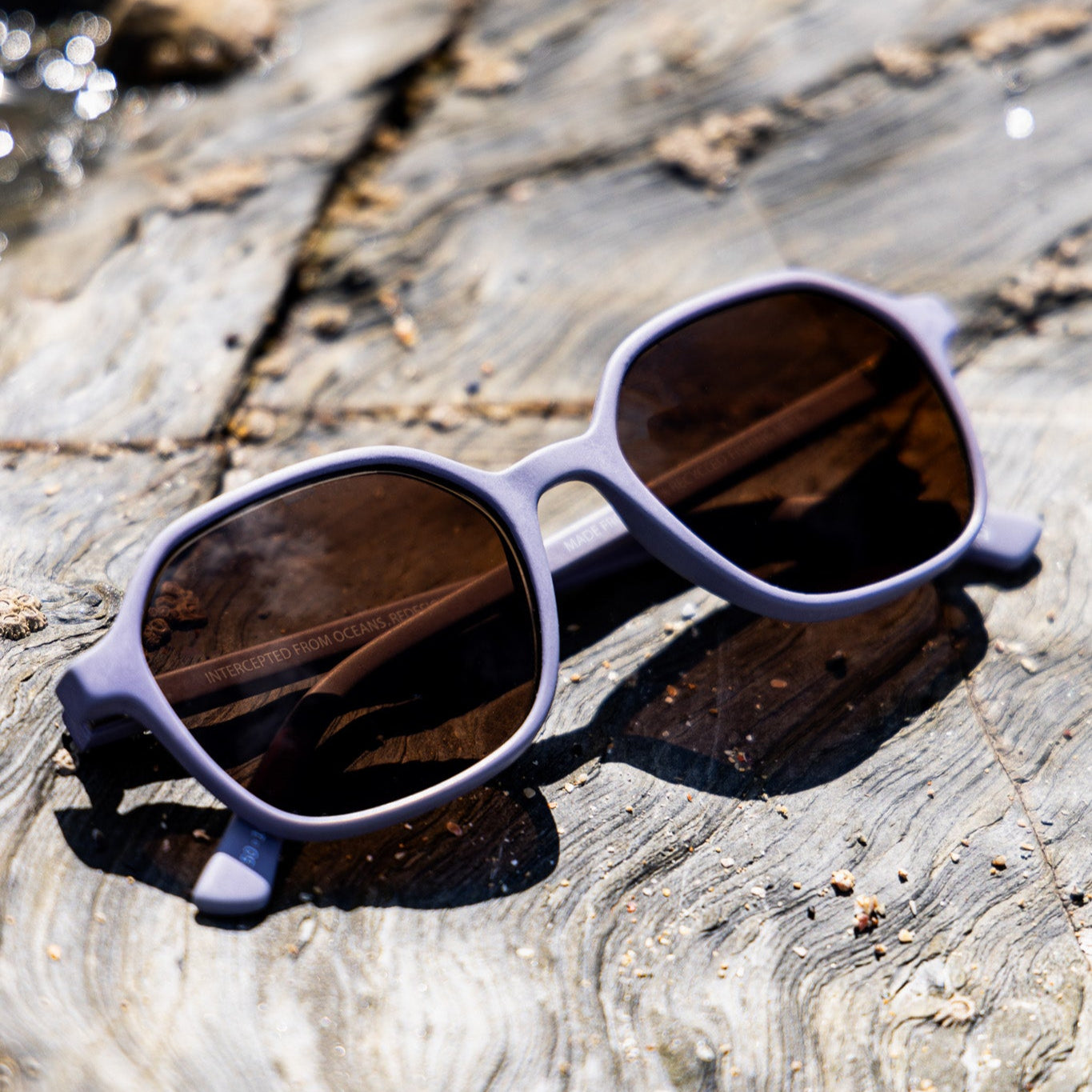 Droskyn Sunglasses