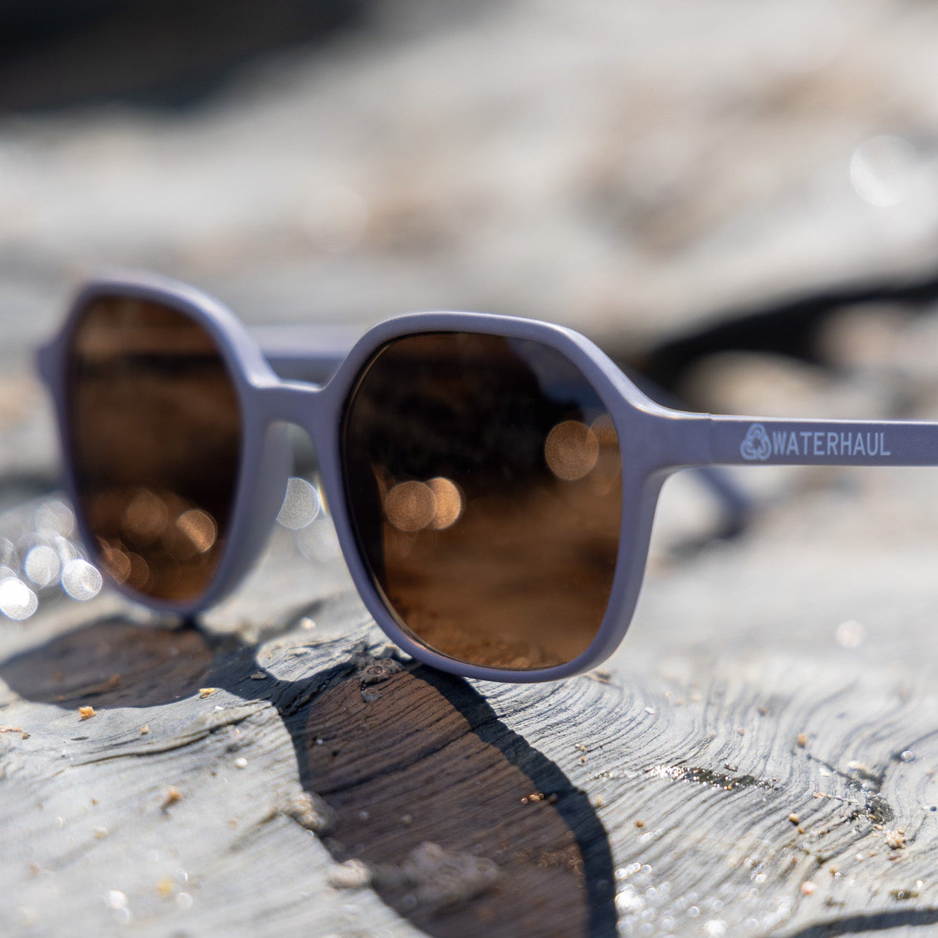 Droskyn Sunglasses